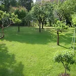 Szekely Balatonfüred