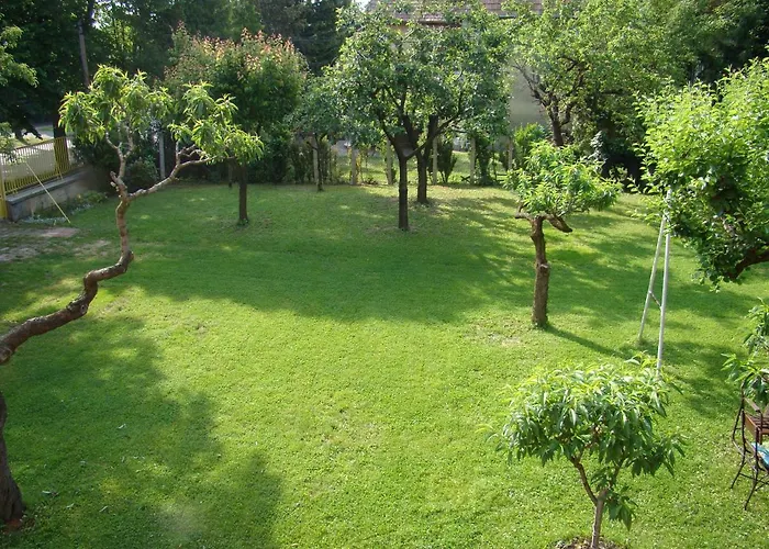 Szekely Balatonfüred